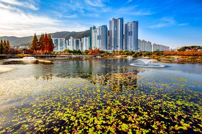 2021 「국제슬로시티 김해」 사진 공모전 수상작_6위 아름다운 연지공원