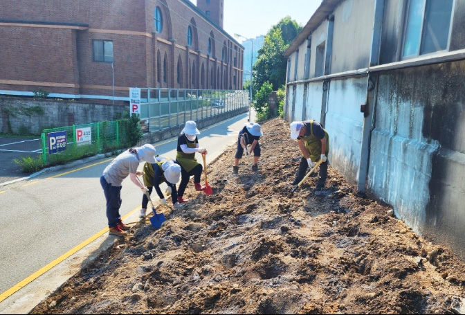 내외동임호댑싸리정원 조성 전