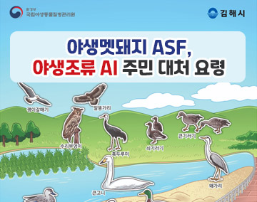 환경부국립야생동물질병관리원, 김해시
야생멧돼지 ASF, 야생조류 AI 주민 대처 요령