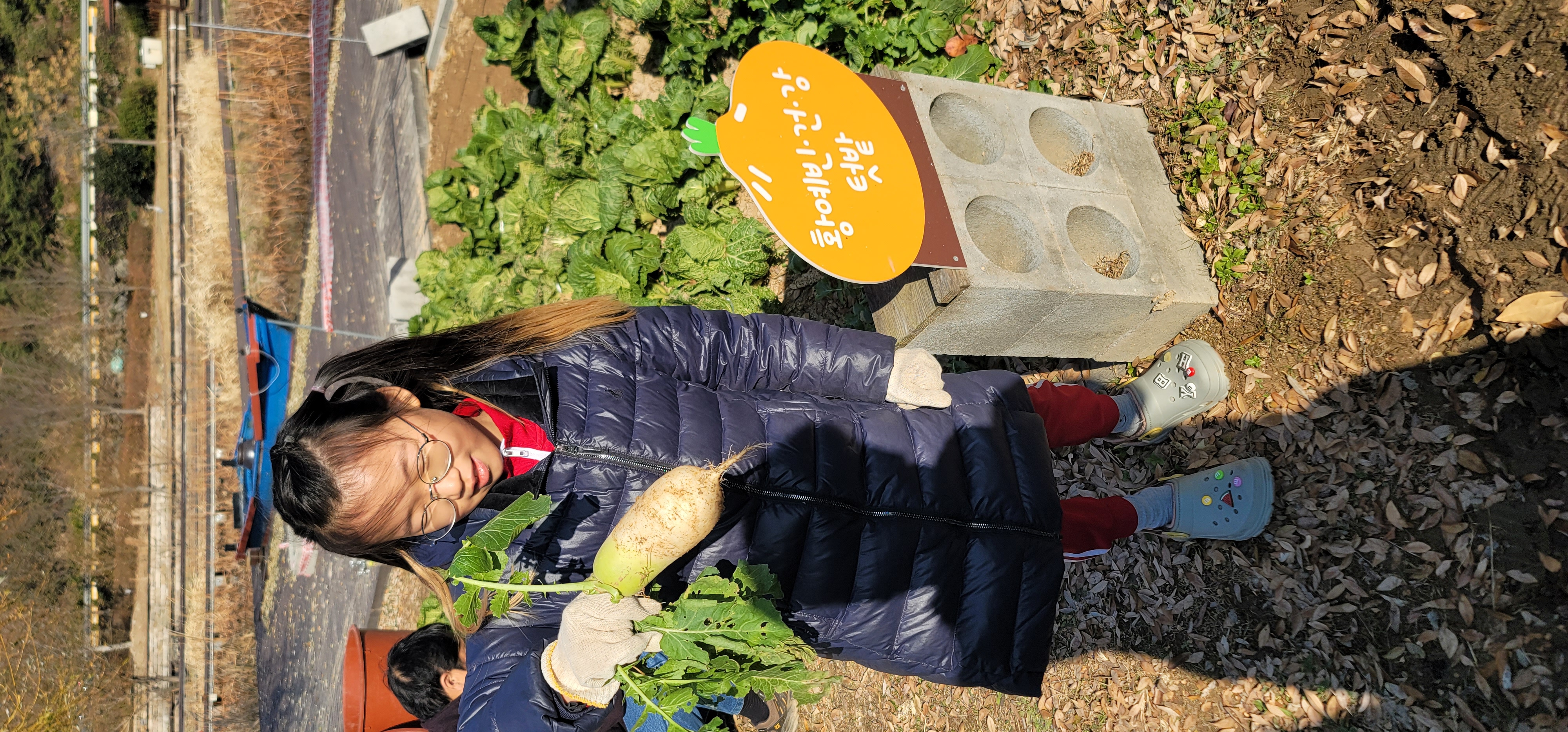 텃밭 후기. 사진