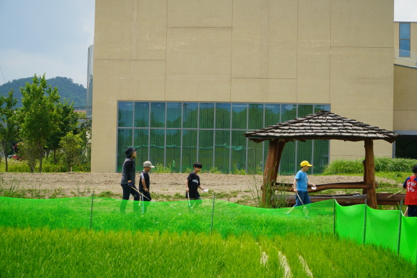 [연대]경상남도 초등학교 3학년 환경체험학습–봉황초등학교(6/12)