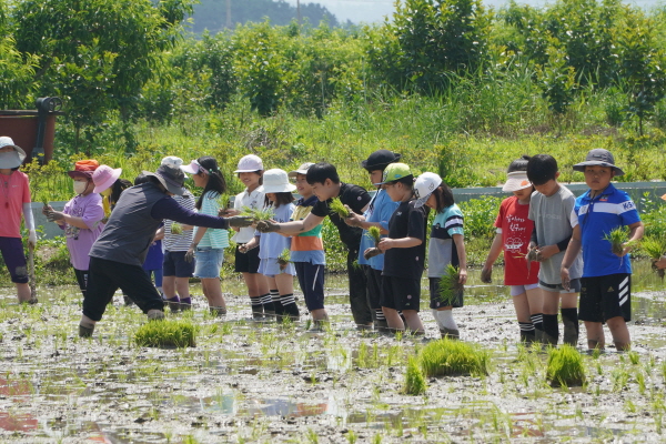 [연대]경상남도 초등학교 3학년 환경체험학습–장유초등학교(6/9)