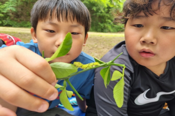 [지속가능발전] 6월 봉하 숲탐험대(오전)