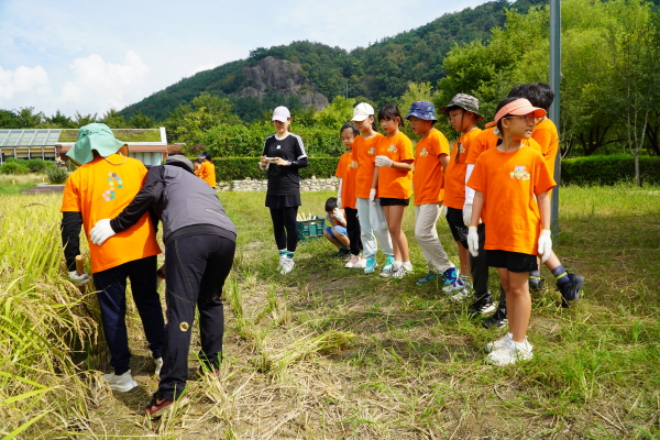 [연대]경상남도 초등학교 3학년 환경체험학습–제황초등학교(9/12)