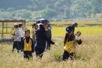 [연대]경상남도 초등학교 3학년 환경체험학습–계동초등학교(10/11)