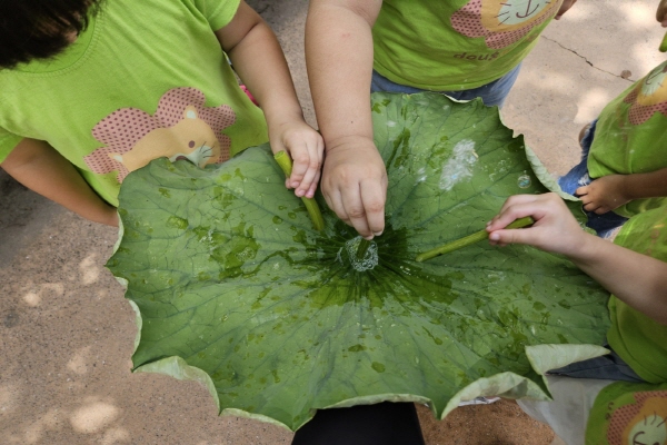[지속가능발전]생태나들이–엘림어린이집(8/22) 