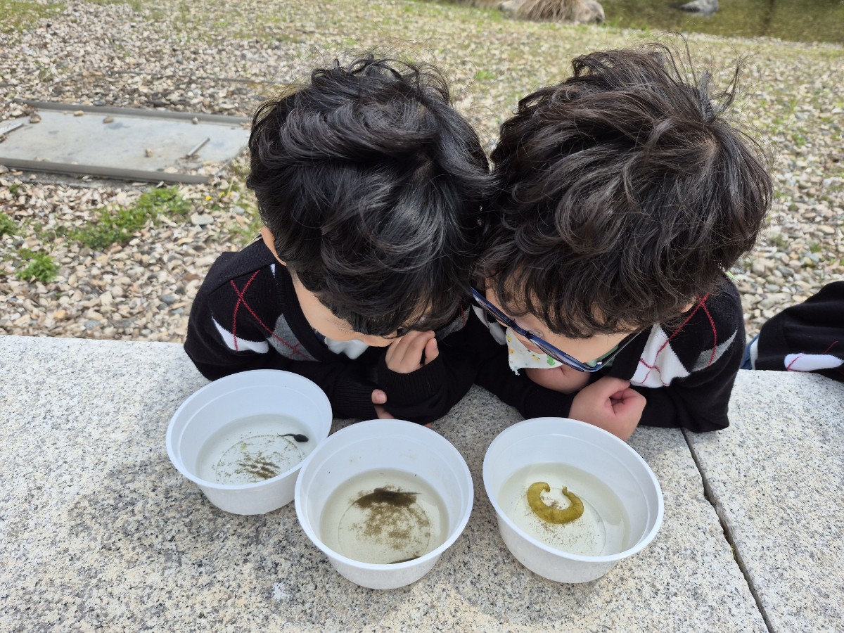 [지속가능발전]생태나들이–언더우드어린이집(4/14)