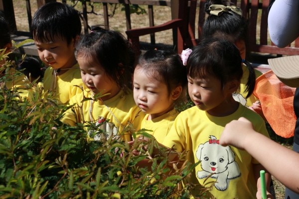 동원프뢰벨 어린이집