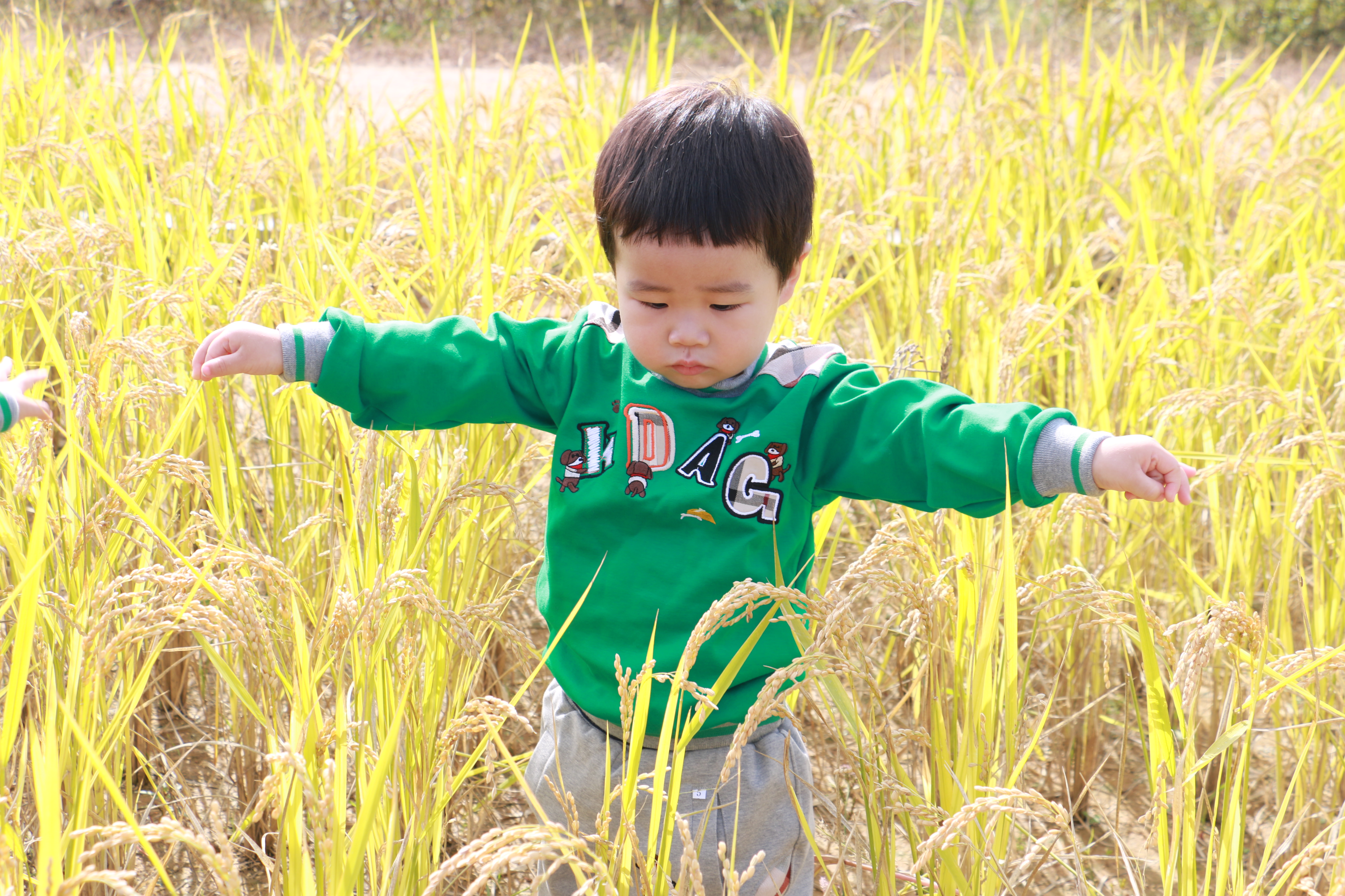 장유너울가지 어린이집