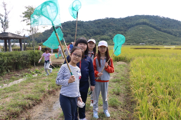 함안 호암초등학교