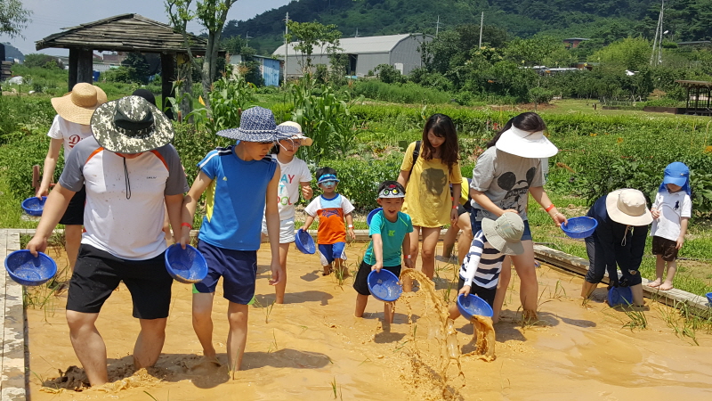 논생물과 미꾸라지 체험