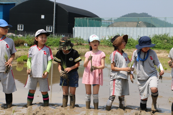 김해 화정초등학교