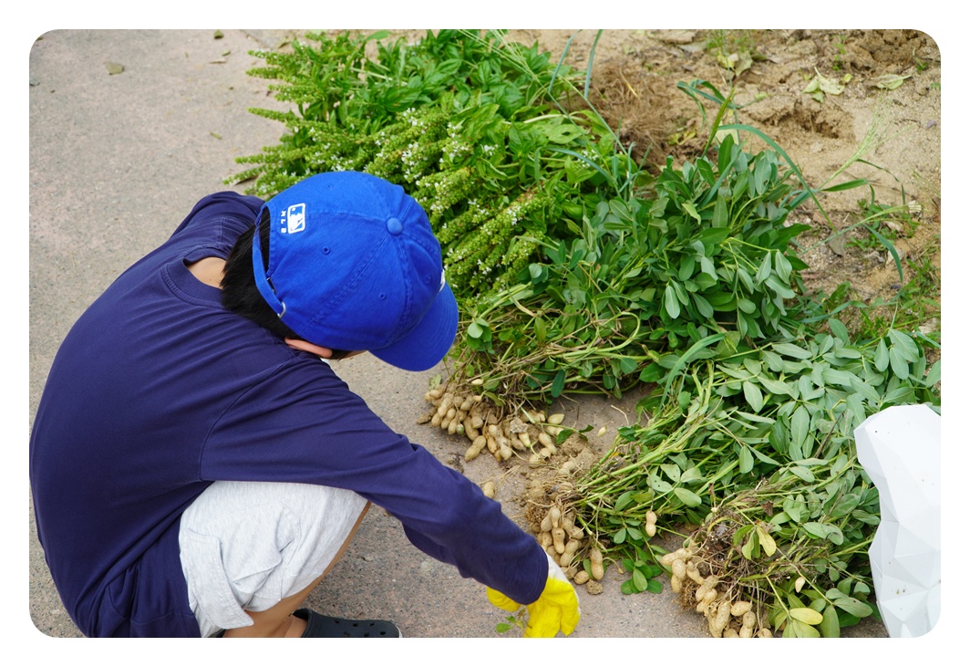  [지속가능발전]농부학교_가을겨울 작물식재특강(9/7)