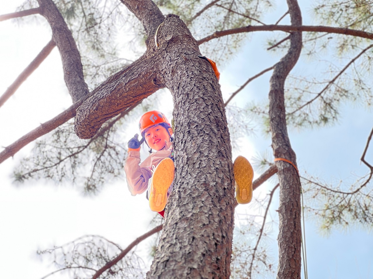 [지속가능발전] 봉하 숲탐험대(4/13)