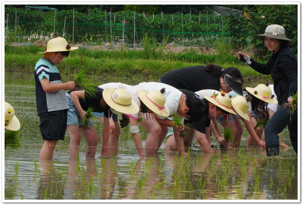 [연대]경상남도 초등학교 3학년 환경체험학습–구봉초등학교(6/12)