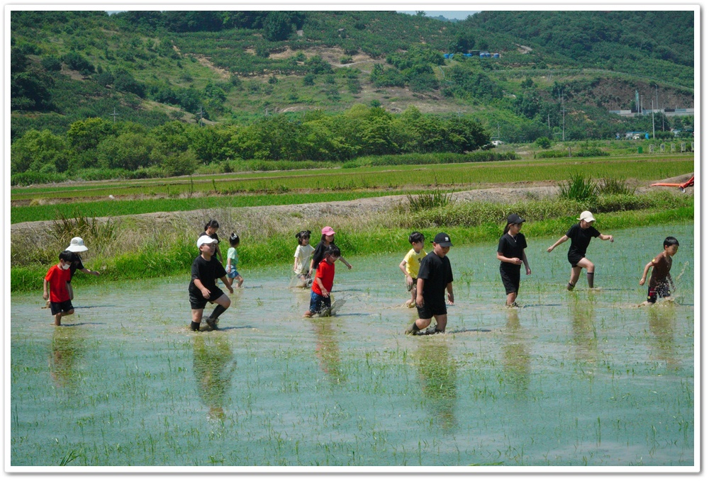  [연대]경상남도 초등학교 3학년 환경체험학습–한림초등학교(6/23)