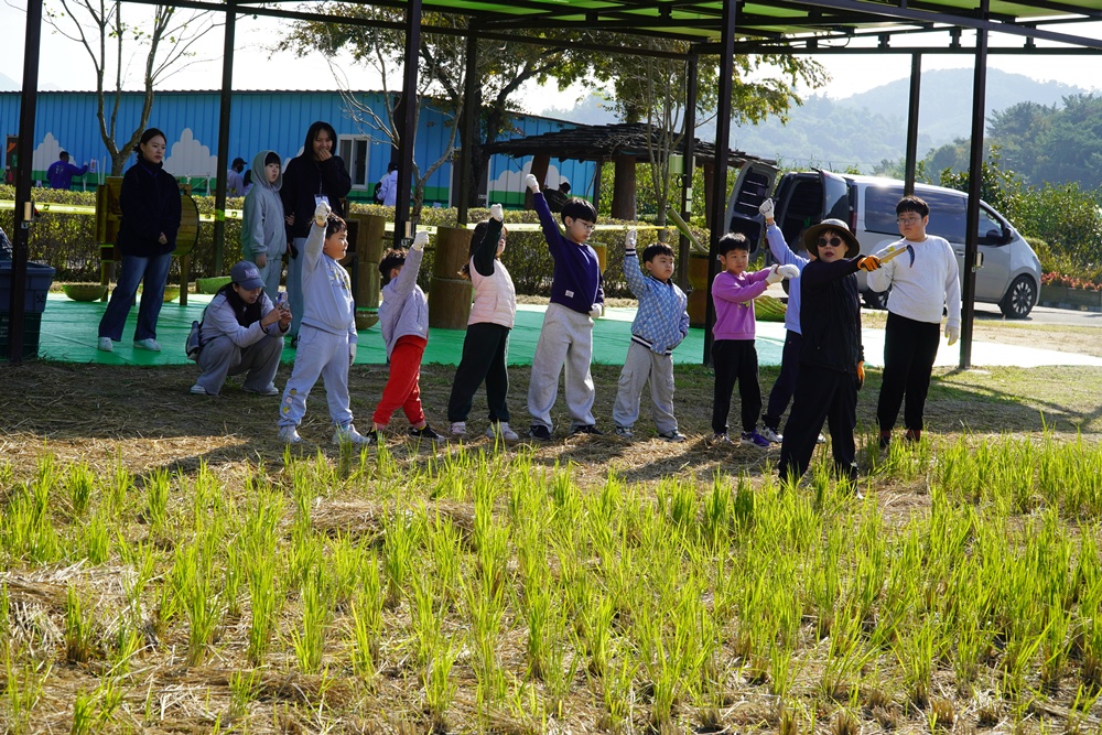 [특별]마산YMCA추수체험(11/2)