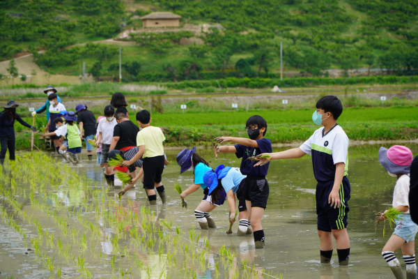 [연대]경상남도 초등학교 3학년 환경체험학습-청도초등학교(6/7)