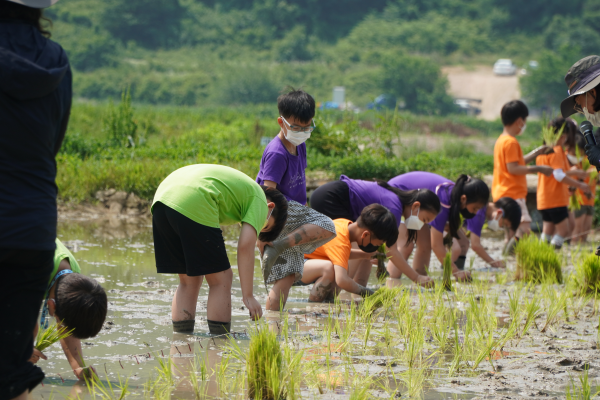 [연대]경상남도 초등학교 3학년 환경체험학습–금동초등학교(6/22)