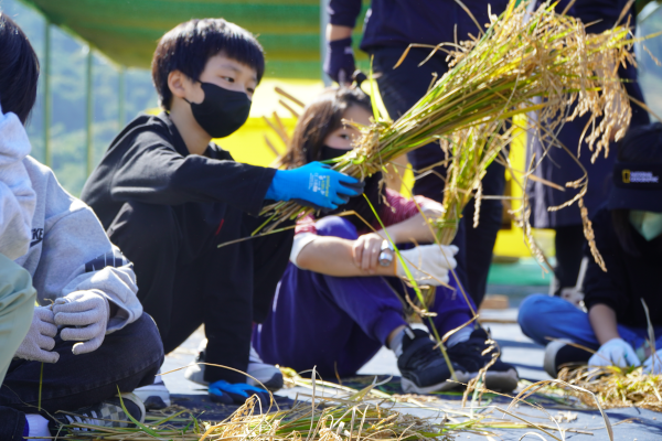 [연대]경상남도 초등학교 3학년 환경체험학습–경운초등학교(10/14)