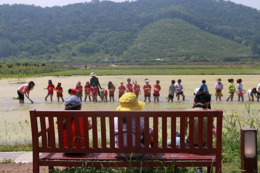 창원 도계 초등학교