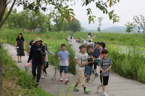 김해 대흥 초등학교