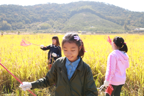 대흥초등학교 3학년