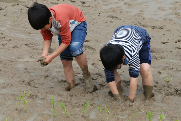 김해 대진초등학교