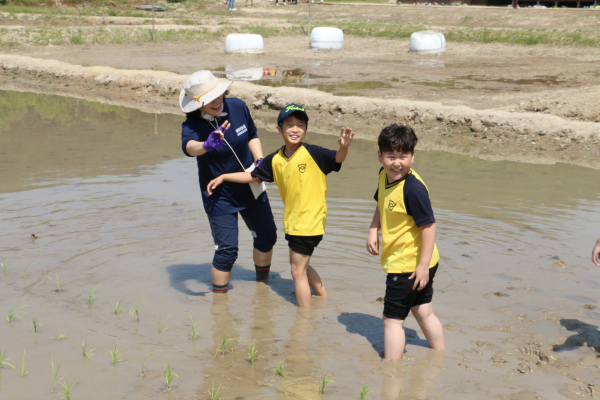 김해 봉황초등학교