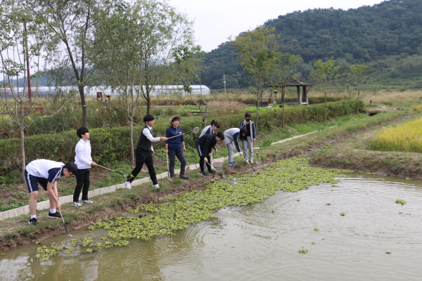 내덕중학교