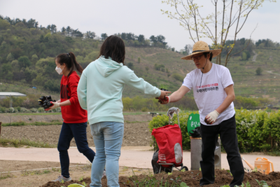 친환경 농부학교 텃밭 작물 심는 날