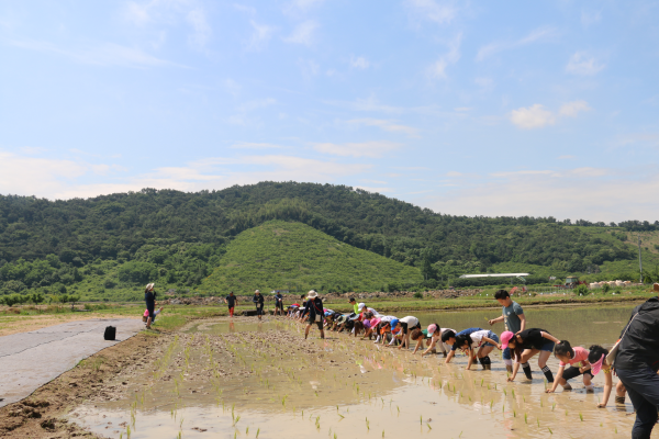 김해 삼방초등학교