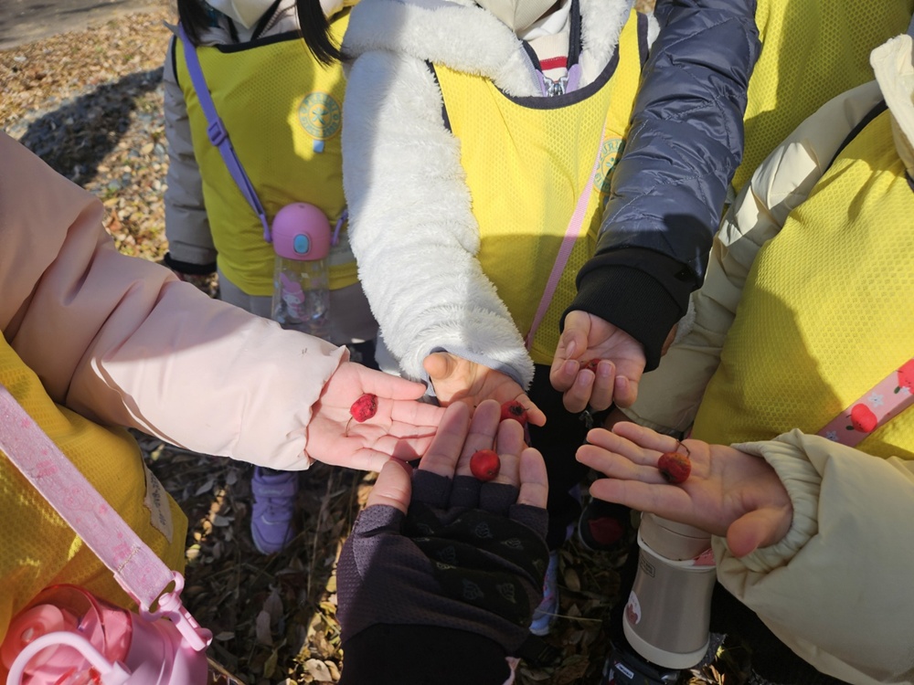 [지속가능발전]생태나들이_Kims어린이집(12/2)