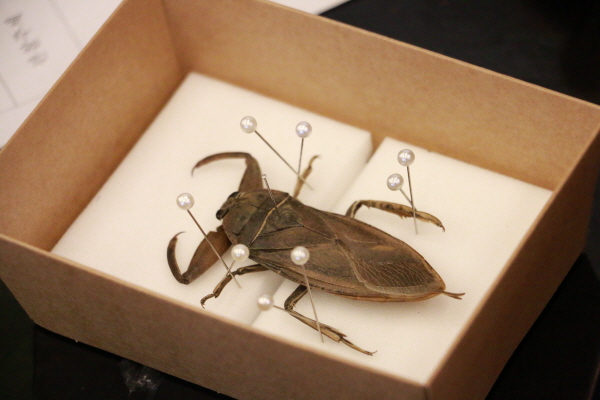 우리동네 생태타탐사단