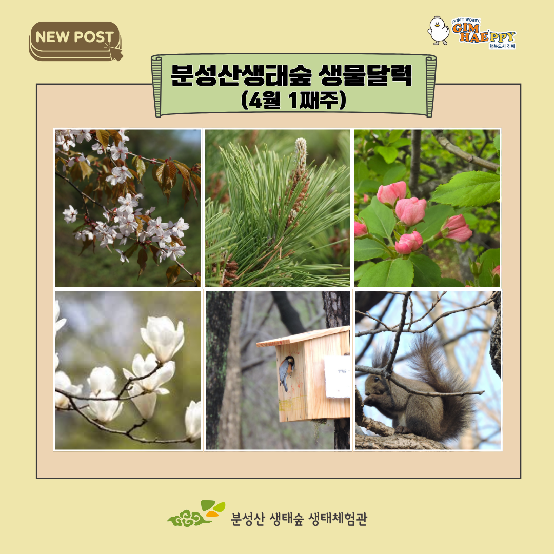 분성산생태숲의 생물달력 4월1째주