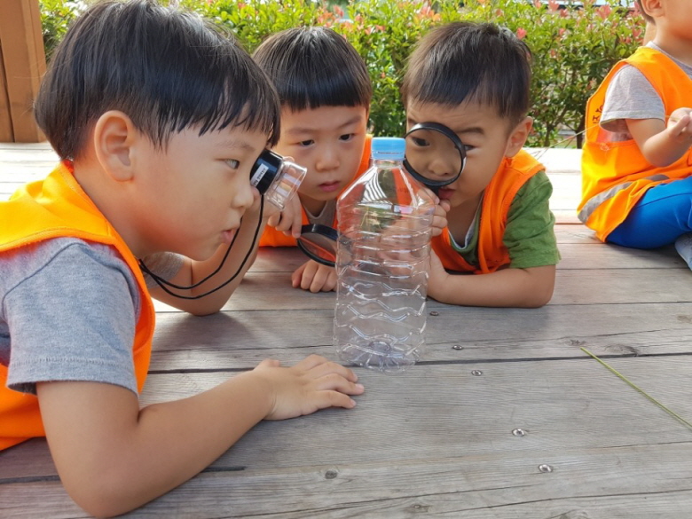 숲에서 자라는 아이들