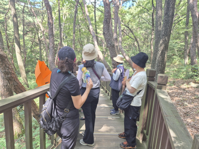 소나무의 사랑에 감동