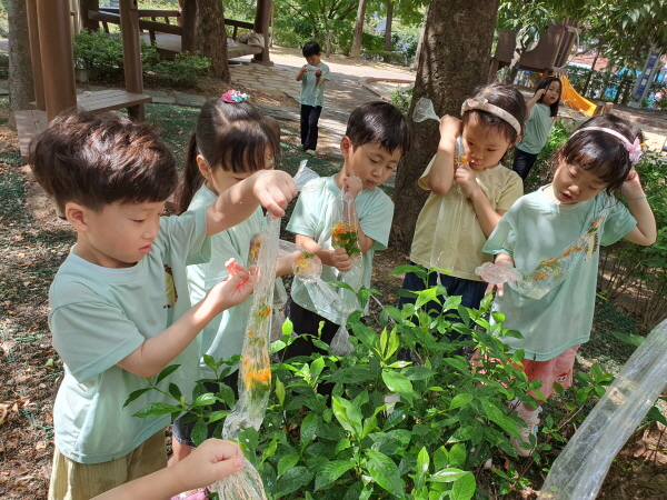 나무에 물주기놀이