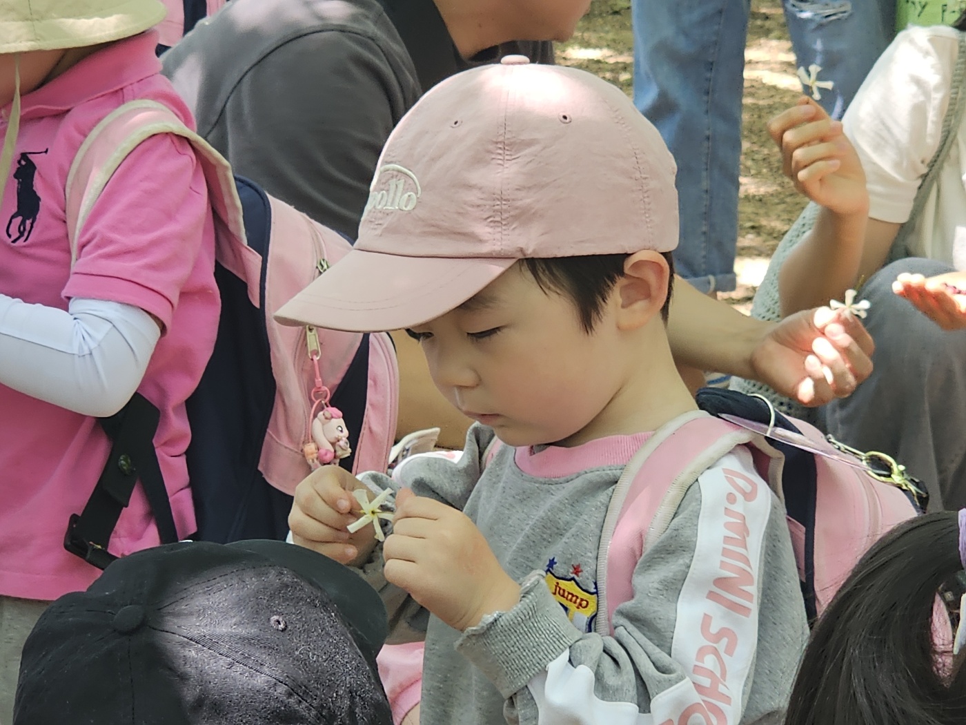 마삭줄 바람개비