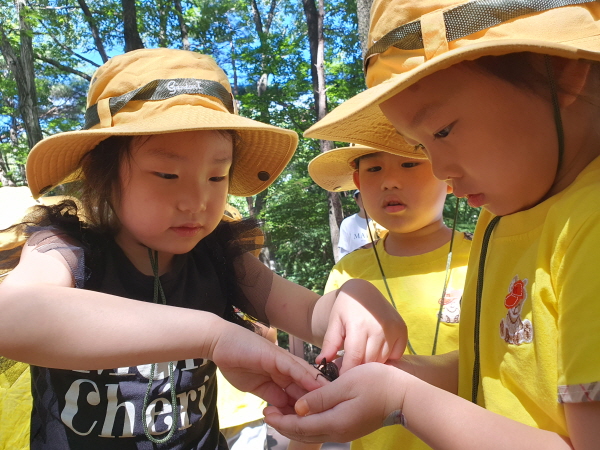 장수풍뎅이관찰