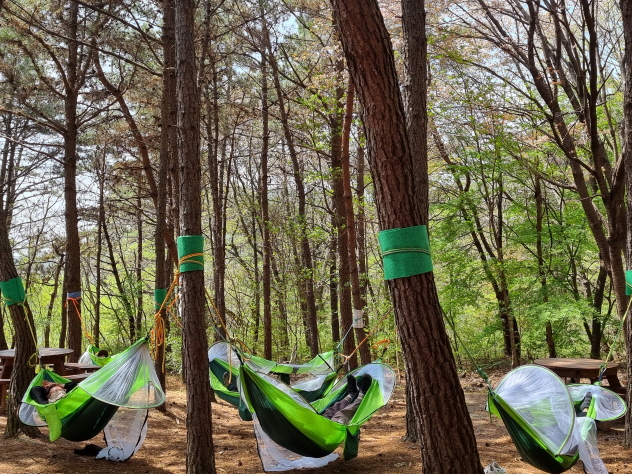 다시피어나리 해먹명상