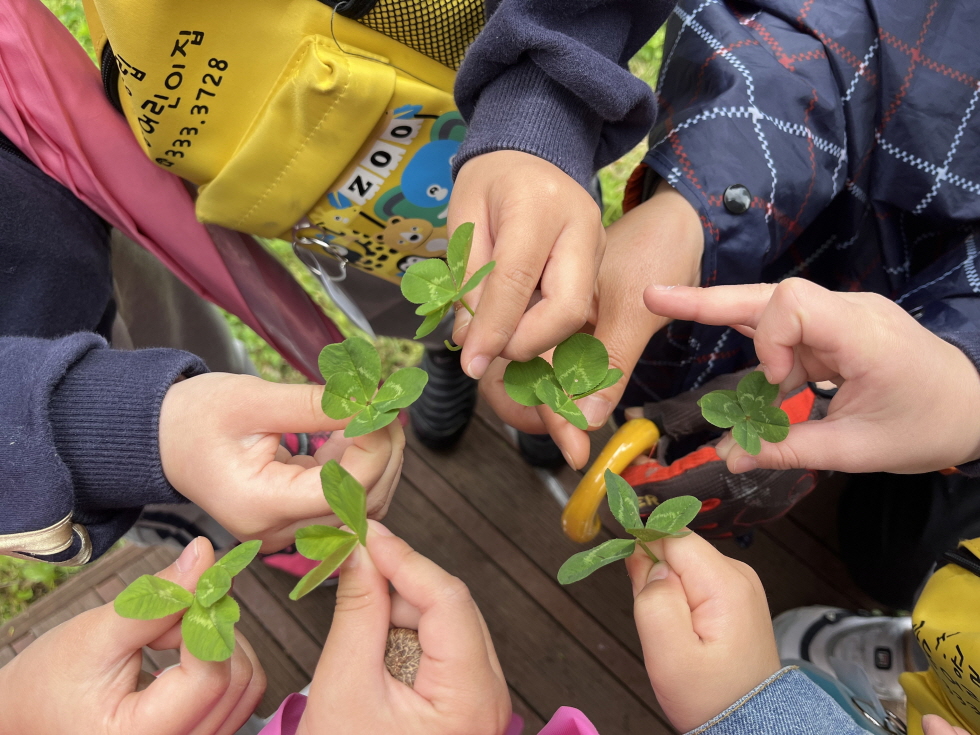 네잎클로버를 우리 모두에게 행운을 준대요