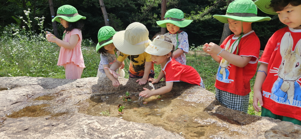 나뭇잎돛단배 띄우기