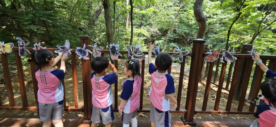 곤충들을 자세히 살펴보기