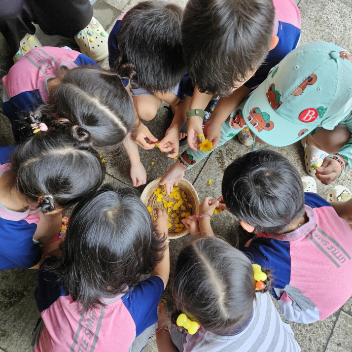 노란색꽃은 꽃잎이 몇개일까