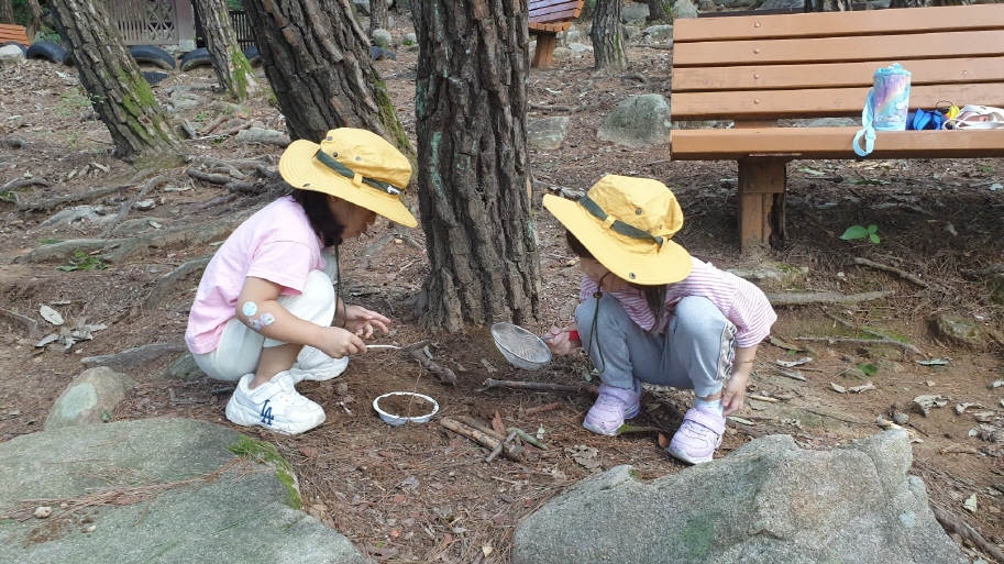 도토리도 숨기고