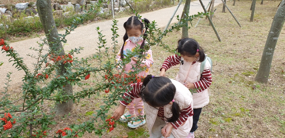 열매도 따보고