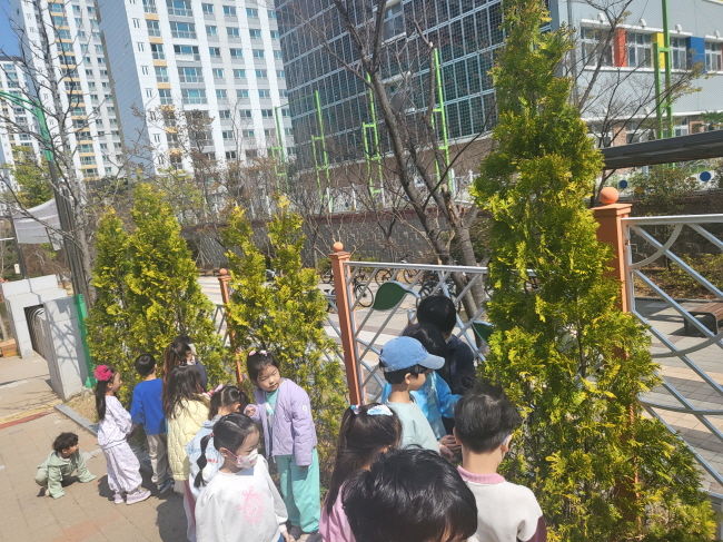 학교 나무를 관찰해요1