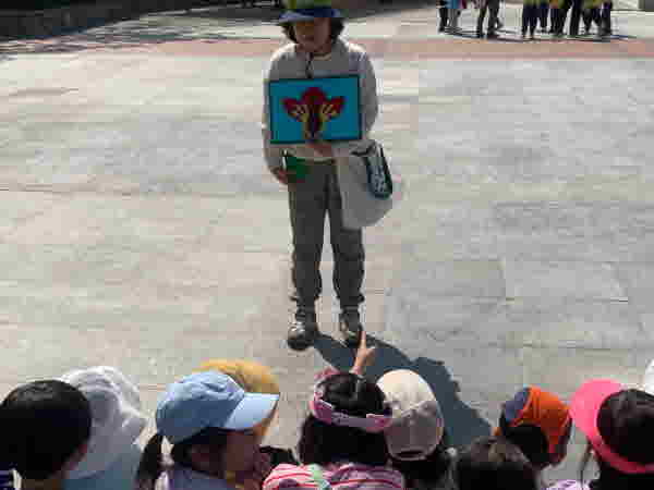 꽃의 구조를 알아보아요