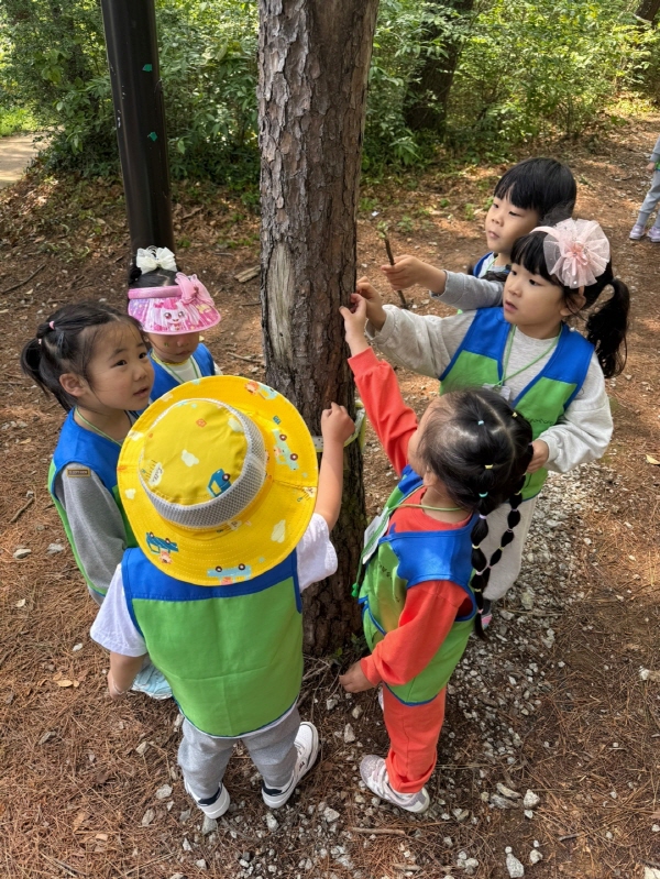 소나무에 숨어있는 곤충이 있을까?